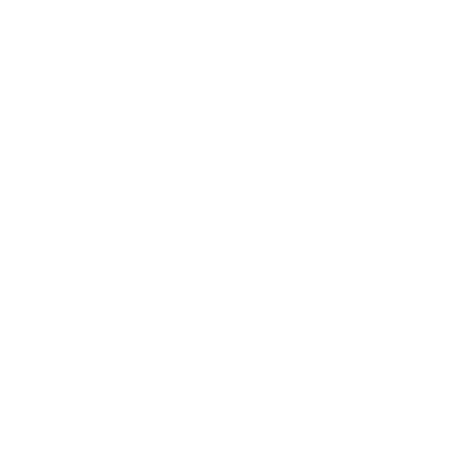 Blue Room Studio Logo